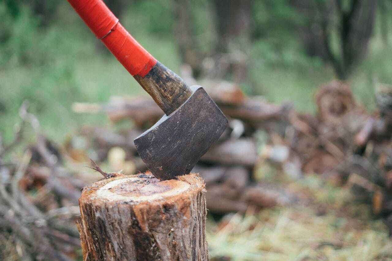 Best Tree Trimming Near Me  in Hubbard, OR